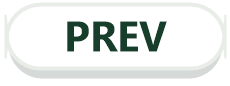Prev